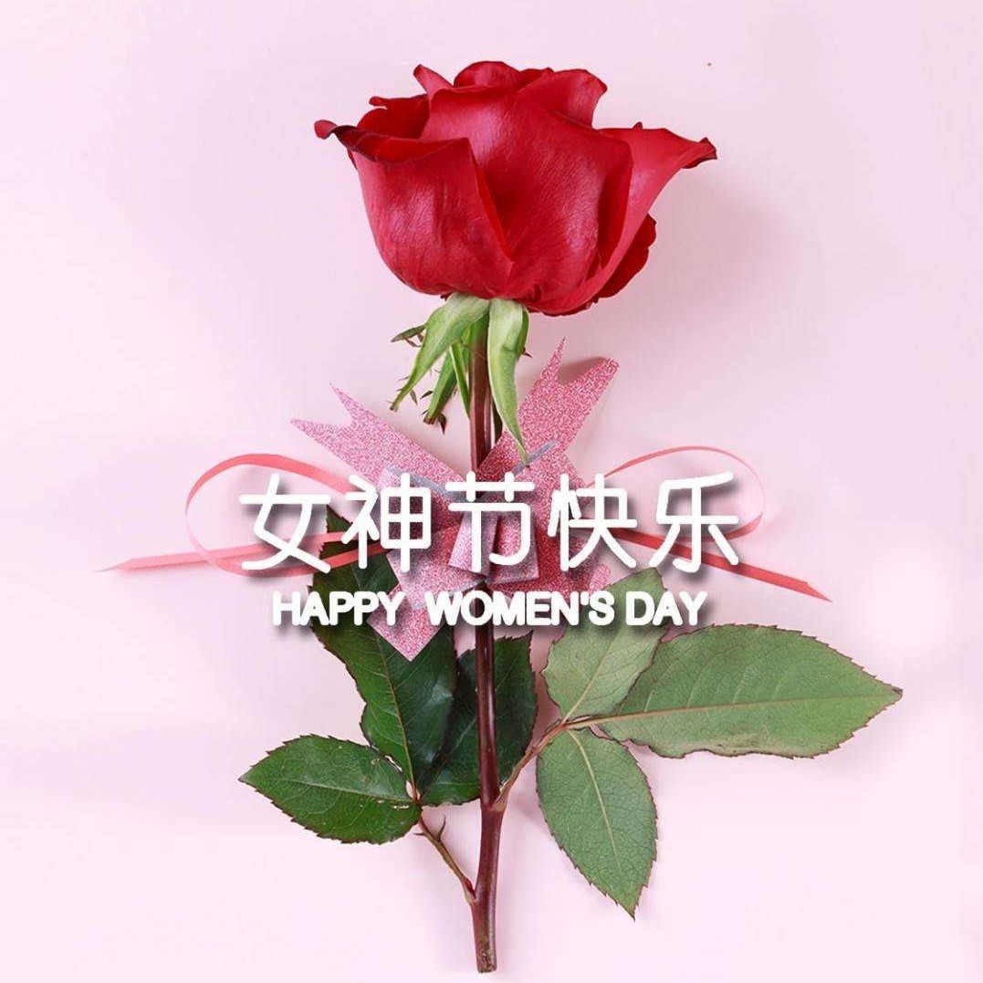 女神节特辑丨以医疗力量，筑女性健康